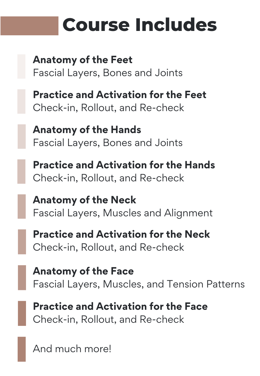 Course Includes