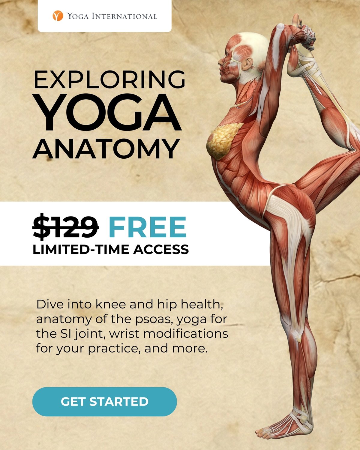 Exploring Yoga Anatomy