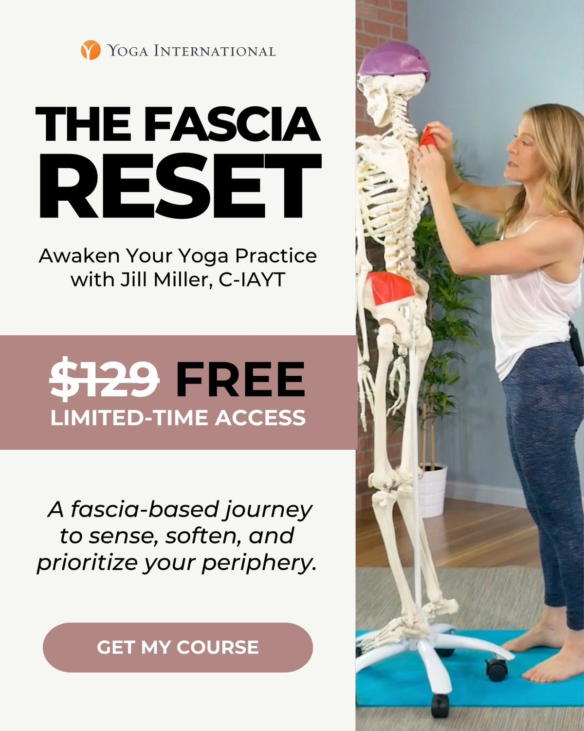 The Fascia Reset: Awaken Your Yoga Practice with Jill Miller, C-IAYT