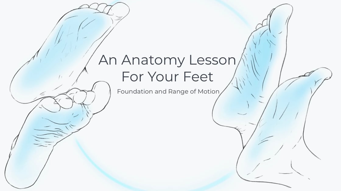 An Anatomy Lesson for Your Feet: Foundation and Range of Motion