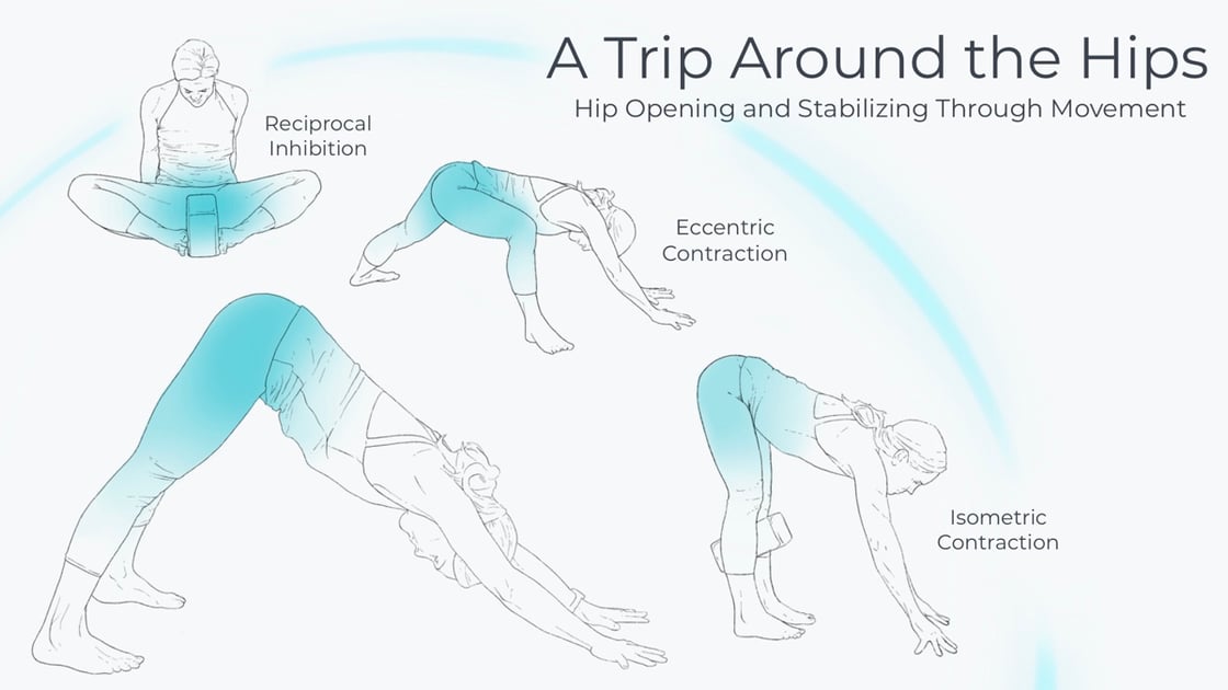 A Trip Around the Hips: Hip Opening and Stabilizing Through Movement
