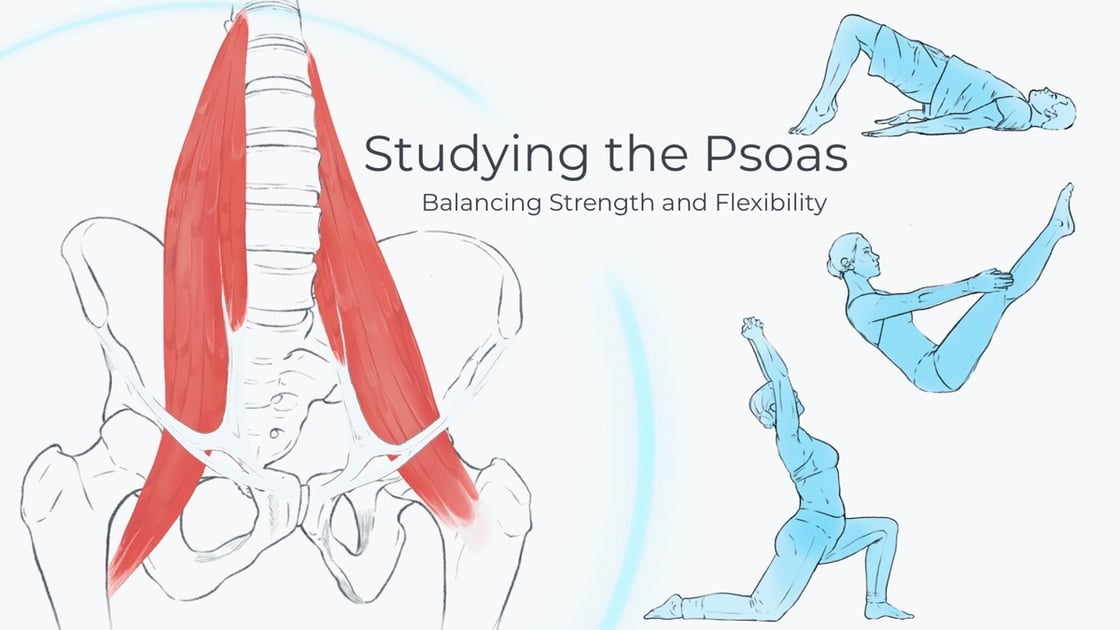 Studying the Psoas: Balancing Strength and Flexibility